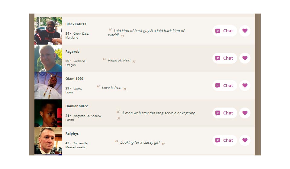 Welche Art von Schnittstelle hat die SoulSingles-Website?